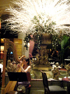 Traveling Tea Cup Harpist at the Drake Hotel