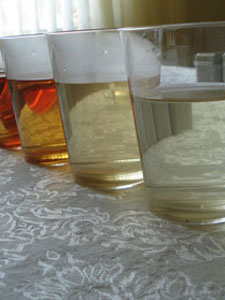 Between the Leaves March 2008 Several Infusions