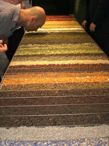 Monthly Musings June 2008 Stop and Smell the Tea