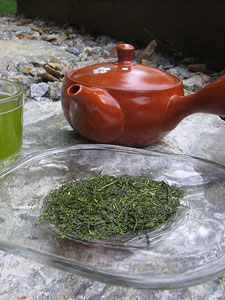 Monthly Musings, August 2008 Picture by Cynthia Fazekas