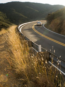 Between the Leaves September 2008 Hittin' the Road