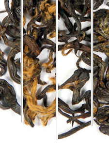 Monthly Musings November 2008 Fresh Arrivals Sampler