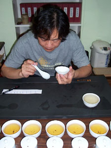 Monthly Musings January 2009 Blind Tea Taste Test