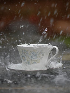 Monthly Musings: April 2010