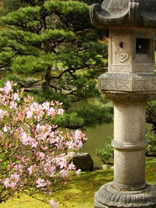 Introduction to Japanese Tea Ceremonies Japanese Tea Garden