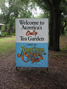 A Closer Cup of Tea: Tea Cultivation in N. America Charleston Tea Plantation Welcome Sign