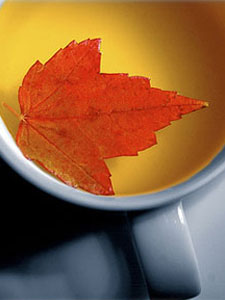 Flavors of Fall The leaves are changing, the weather cooling...