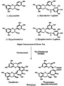 The Chemistry Of Tea It looks boring, but this is the stuff that makes tea so perfect