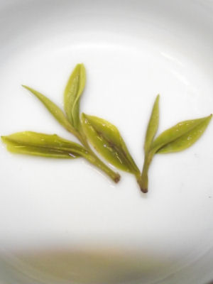 Cha Qi: Tea's Most Mysterious Benefit fresh-brewed leaves