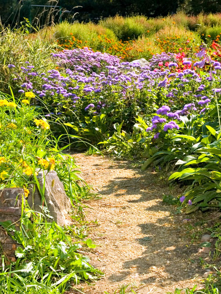 How to Get Out of Your Winter Slump Take a walk through some flowers
