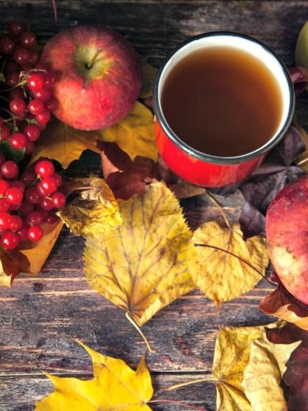 Best Black Tea Flavors for Fall Fall Tea