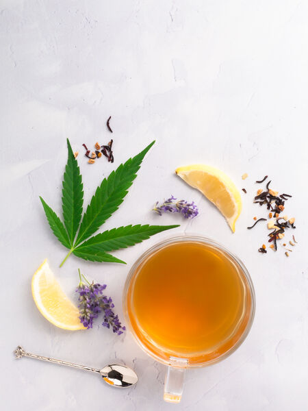 Introduction to CBD Tea The CBD is carefully extracted from natural hemp leaves, converted into a powder or oil, and added to pills for therapeutic purposes, creams for topical applications, and in foods and beverages.
