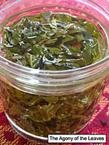 Tea Leaf Experiments Will the plants like it?