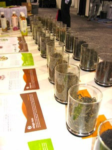 2011 World Tea Expo Recap Part of the Adagio Teas display