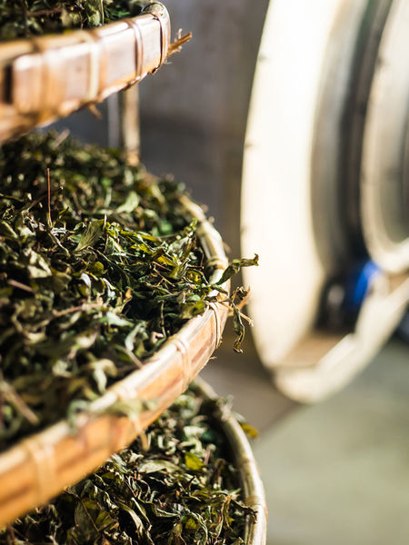 Tea Drying Racks