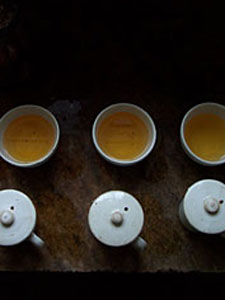 Japanese Tea History: Rikiyu's Morning Glory